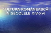 Cultura romaneasca in secolele xiv xvi