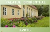 Palatul Brukenthal Avrig