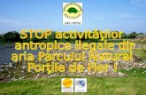 Stop activităţilor antropice ilegale în aria parcului natural porţile de fier !