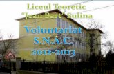 Activitate voluntariat 2012 2013