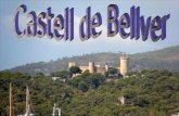 Castell de Bellver1
