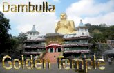 Sri Lanka, Dambulla, golden temple1