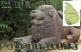 Polonnaruwa 2 Sala de Consiliu