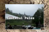 Castelul  Peles  -  Romania