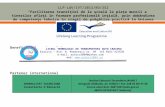 IVT Mobility Project Presentation nr. LLP-LdV/IVT/2013/RO/352