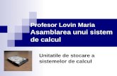 Profesor Lovin Maria