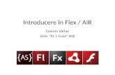 Introducere in Flex si AIR