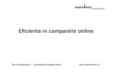2011.05.30 Doru PANAITESCU - Eficienta in campaniile online