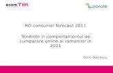 RO consumer forecast 2011_ecomTIM - Dorin Boerescu