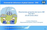 Prezentarea DAE a sistemului IMI - Cristina Sătmărean