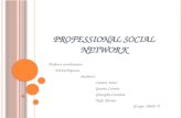 Professional social network - first presentation