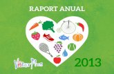 Raport anual ViitorPlus 2013