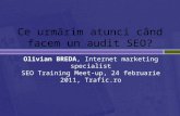 2011.02.24 Ce urmarim atunci cand facem un audit SEO