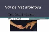 Hai pe NET Moldova - Levinte Tatiana