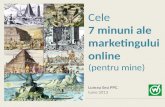 Cele 7 minuni ale marketingului online