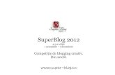 Prezentare rezultate SuperBlog 2012 - Key Facts