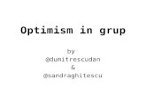 Optimism in grup