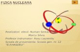 Fizica nucleara serkan silviu 25