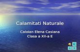 Caloian Casiana