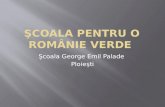 Şcoala "George Emil Palade", Ploieşti. prof . Radu Nicoleta a castigat in luna octombrie un premiu de 400 euro in "Scoala pentru o Romanie Verde"