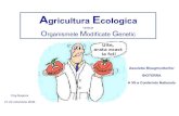 Agricultura ecologica vs OMG