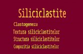 2 siliciclastite-introducere