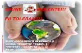 Spune nu violentei,fii tolerant!elev georgescu alexandru    lic.teor. carol i fetesti, ialomita(1)