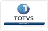 Fórmula Visual - TOTVS IP - Fábio Delboni - 07/2012