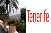 Tenerife (Nx Power Lite)