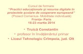 Diseminare curs Comenius - Paris, martie 2014