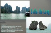 Golful Ha Long Vietnam