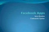 Create Your Own Facebook Application