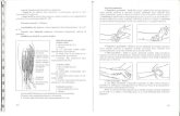 40501329 ghid-practic-de-evaluare-articular-a-si-musculara-in-kine-tot-era-pie-2