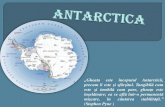 D4.2. antarctica