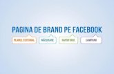 Alexandru NEGREA - Pagina de brand pe Facebook (2012.08.30, Orange Concept Store)