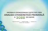 Anomalii cromozomiale detectate prin analiza citogenetica prenatala
