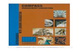 Compass consulting=prezentare=2012