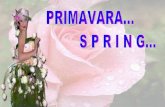 Primavara Spring