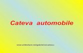 Cateva Automobile
