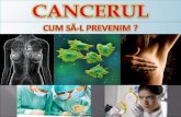 Cancerul By Lucas (Only Women) Max For Slideshare