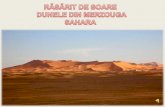 Merzouga Dune Sahara