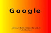Google Cautare Eficienta Internet Curs