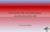 Elemente de vascularizație cerebrală arterială- ACA