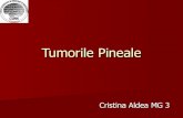 Tumori pineale