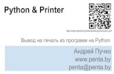 Python&Printer / Андрей Пучко / penta.by