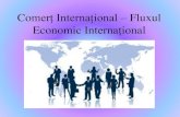 Comerț internațional – fluxul economic internațional 2