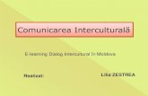 Comunicarea interculturala