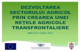 Gheorghe Meaun, Consiliul Raional Sîngerei - Proiectul “Dezvoltarea sectorului agricol prin crearea unei rețele agricole transfrontaliere”
