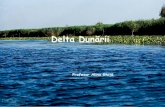 Delta dunarii