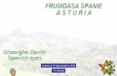 Frumoasa Spanie Asturia (Nx Power Lite)